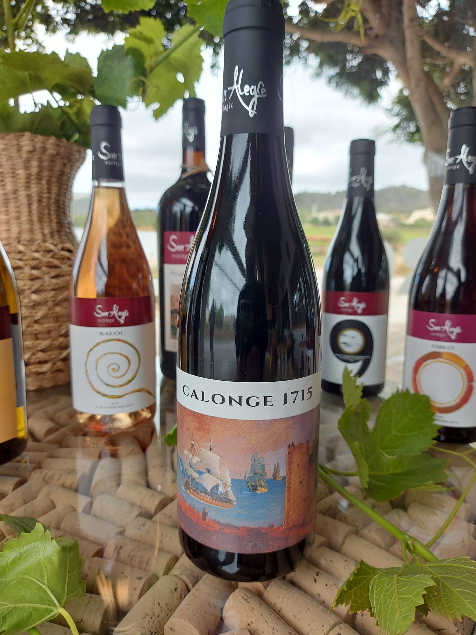 Calonge 1715, un cupatge de Merlot, Cabernet Sauvignon i Sirah a parts iguals/Cedida. 
