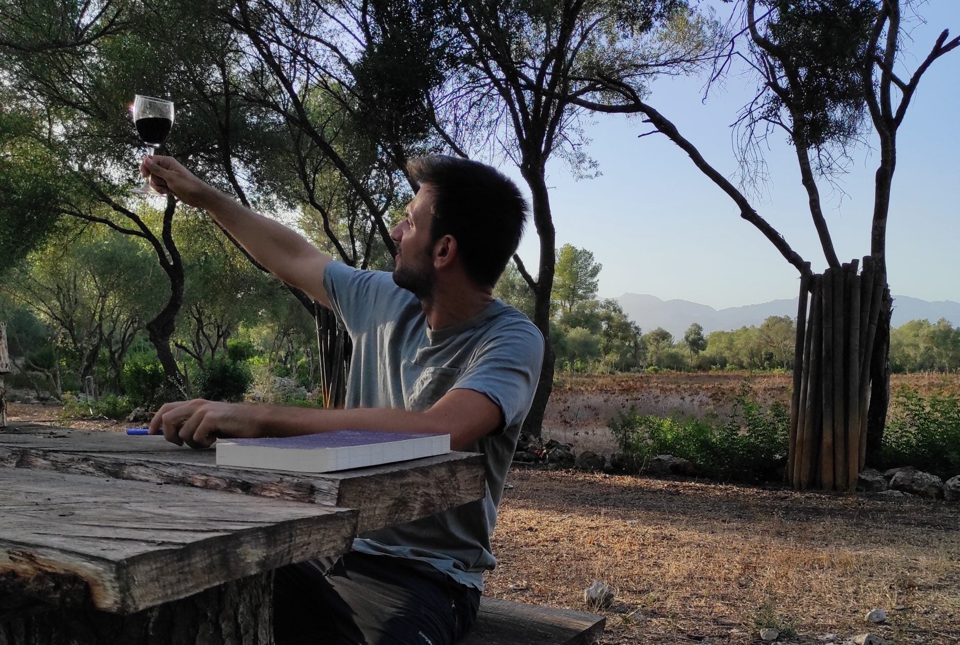 Felip Tribó: 'Convid als lectors a espipellar entre els vins mallorquins que, sense cap por de trair a la veritat, són de qualitat' | cedida