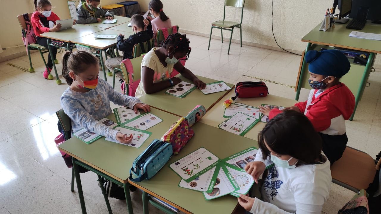 Aquesta primera setmana, les activitats es desenvoluparan a centres escolars de Mallorca | CAIB
