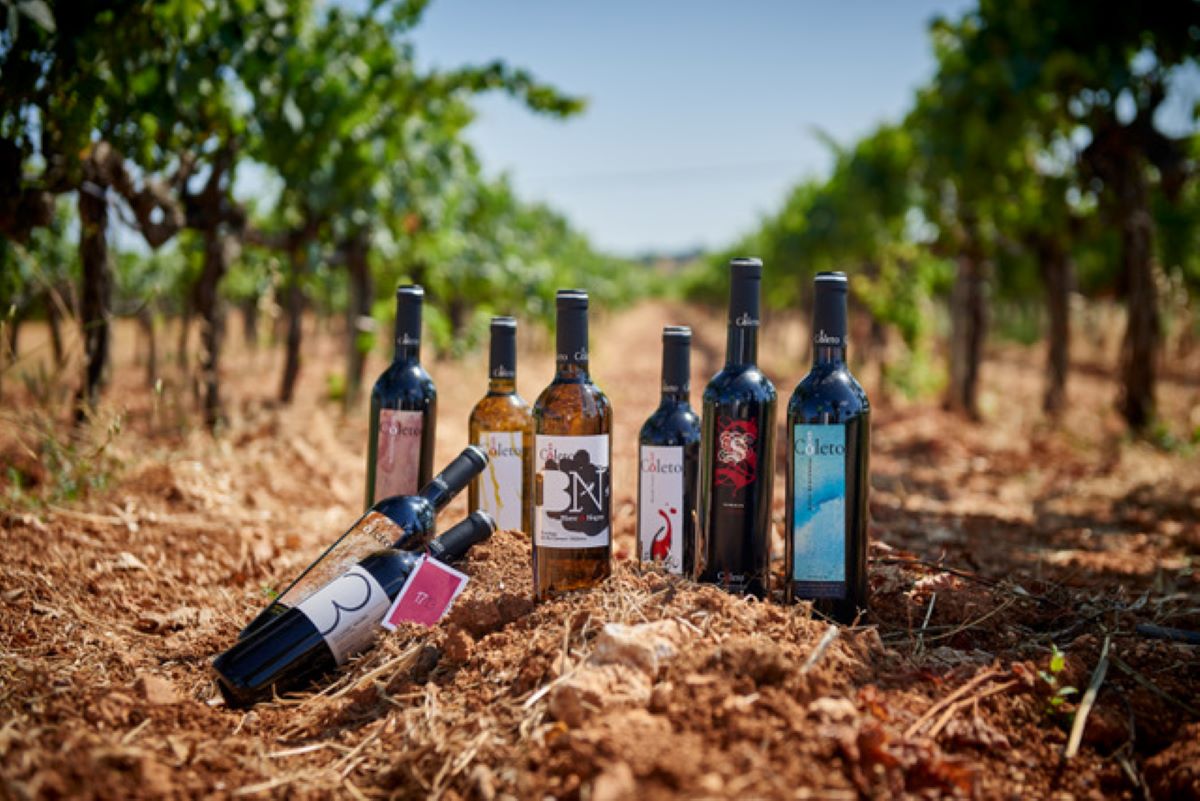 Els vins de Can Coleto sempre tenen bons resultats a Catavinos/Cedida