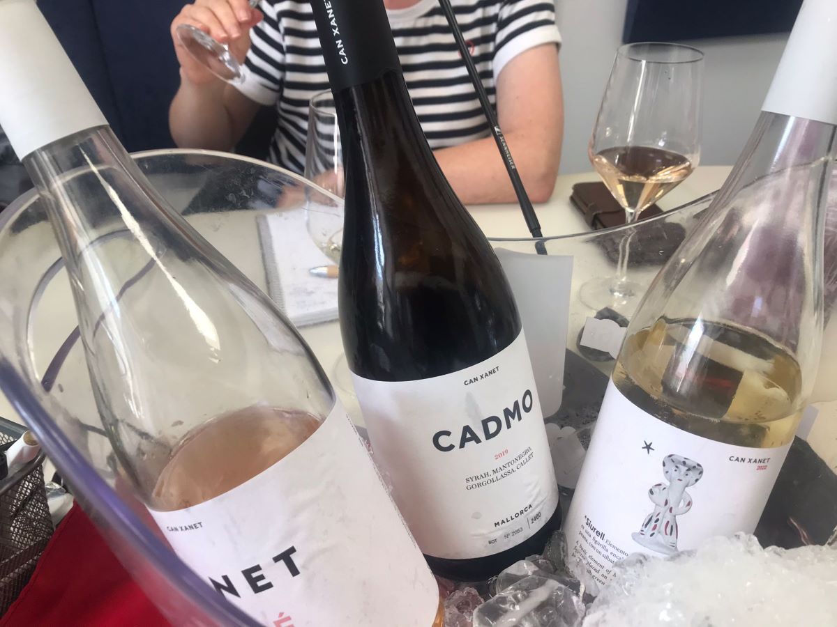 Un tast dels vins que elabora Antonio González entre Alcúdia i Pollença/CT