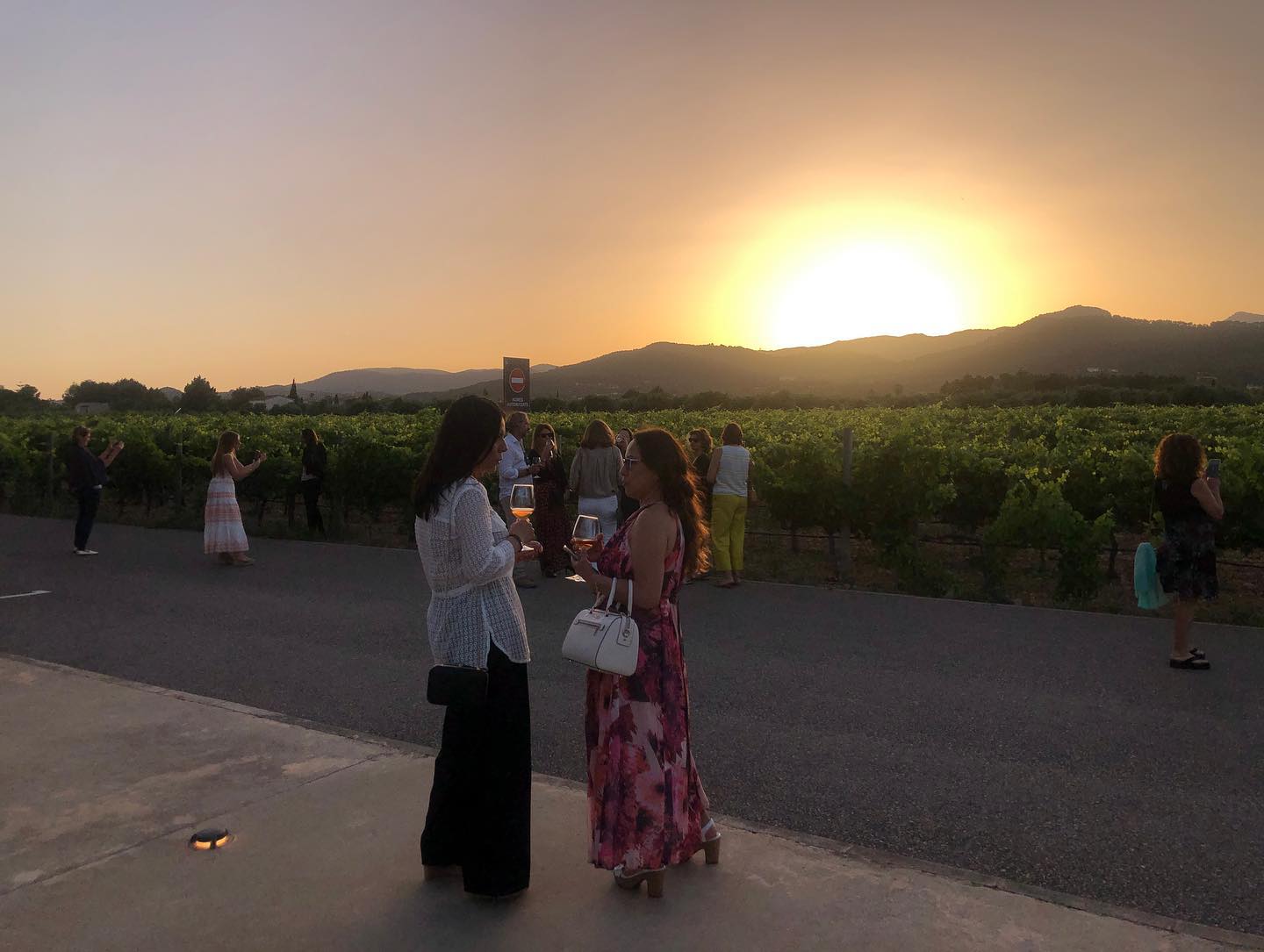 La vinya de Tianna Negre és el marc del tast de vi que es fa després dels concerts/TN