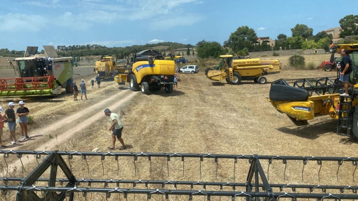 La concentració de 'cosetxadores' indica el final de la campanya de collir i batre el gra. És el moment de fer balanç/ASAJA