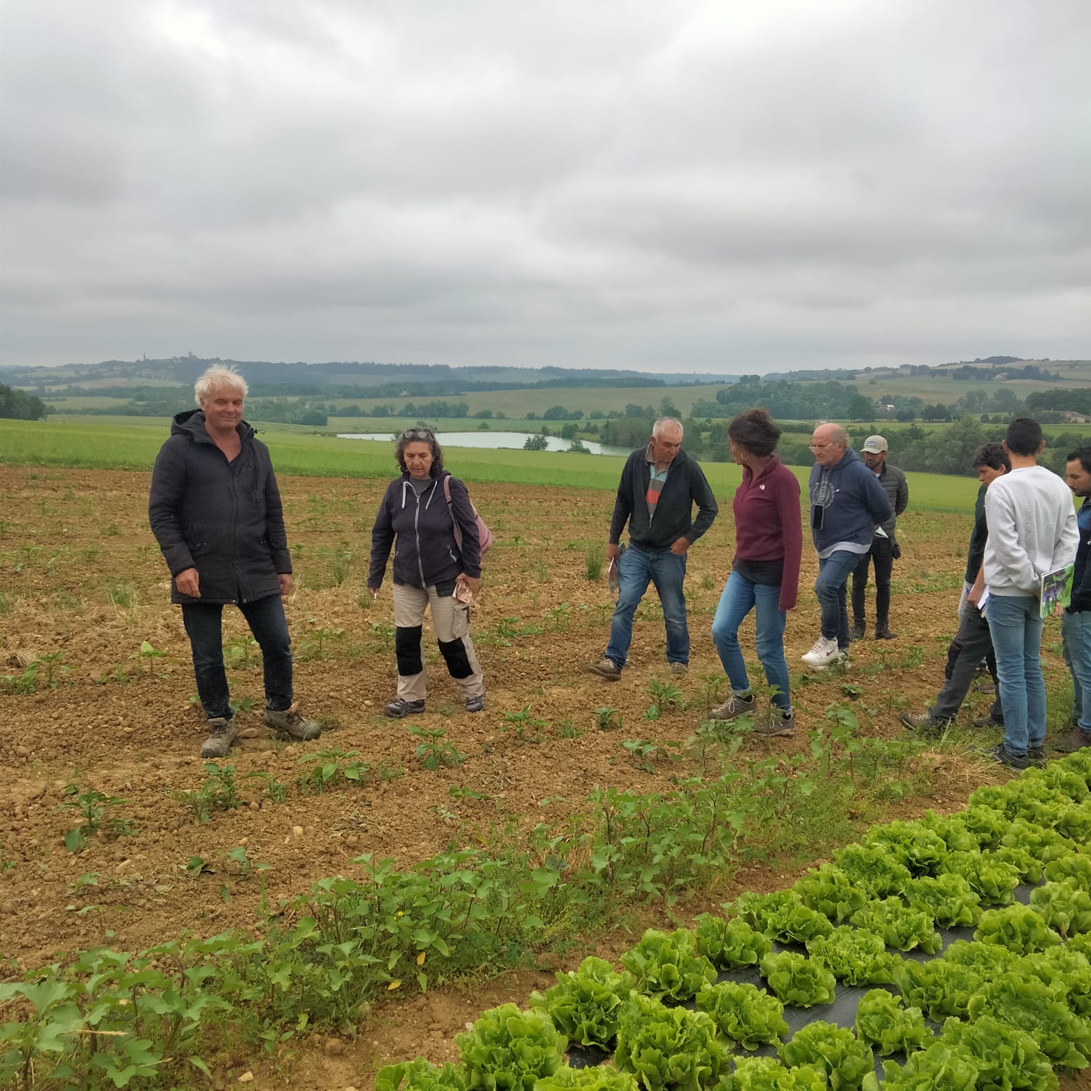 Empreses i entitats de les regions del sud-oest de França han ofert els seus coneixements sobre gestió i conservació del patrimoni vegetal/AVL