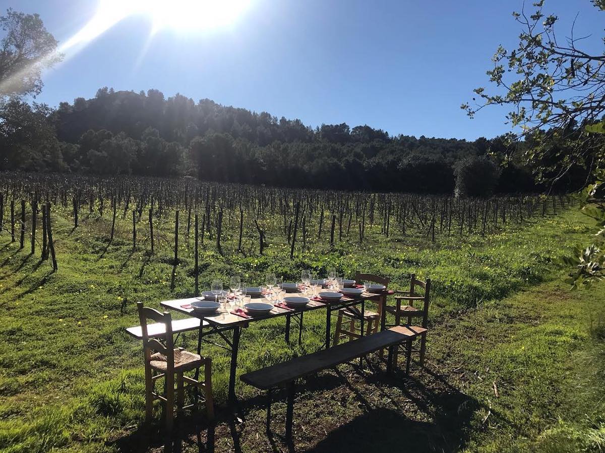 Vinyes de 4 kilos, un dels cellers recomanats per 'Decanter' | Foto: celler 