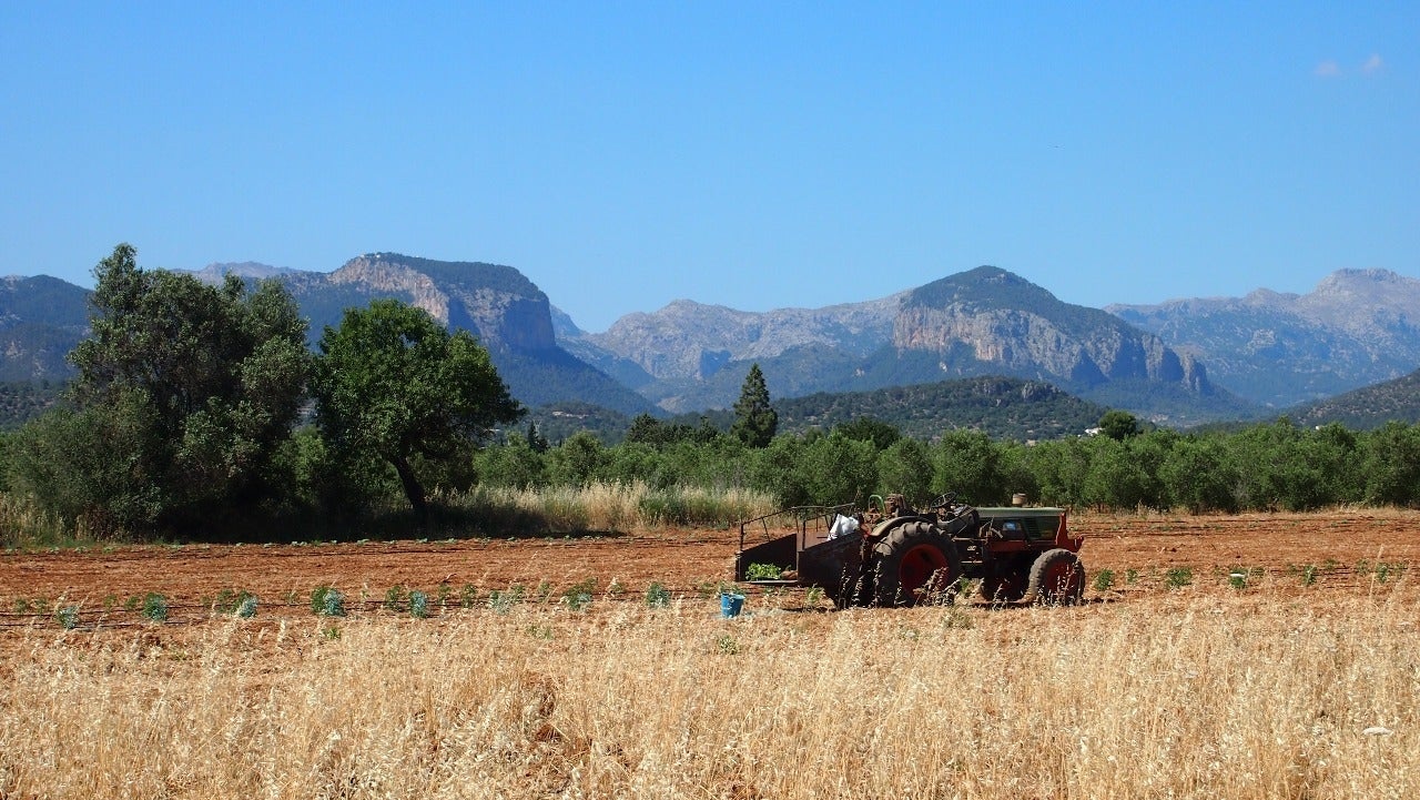 Divuit projectes varen participar en la primera edició del programa Rural’Up /MR