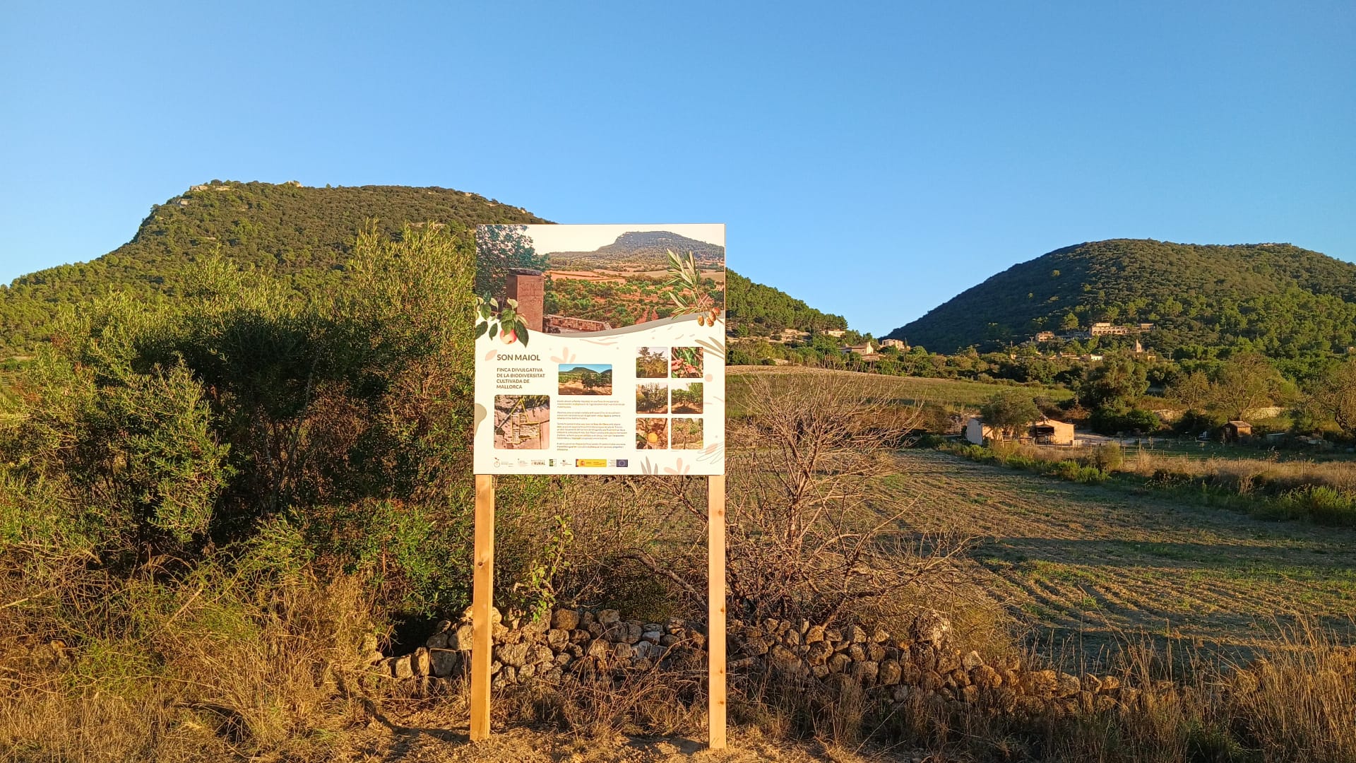La finca de Randa on l'Associació de Varietats Locals vol promocionar el coneixement sobre la diversitat dels cultius de Mallorca/AVL
