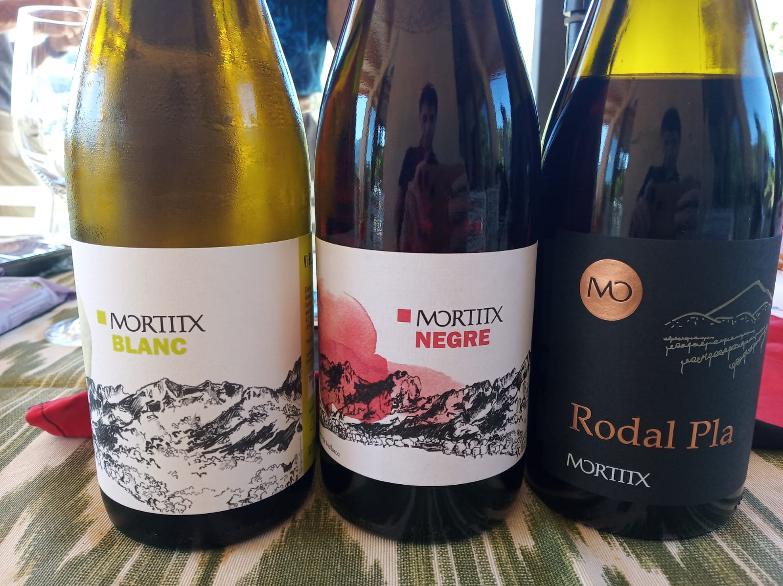 Una selecció dels vins del celler va ser analitzada pels experts en aquest tast de final de verema/Cedida