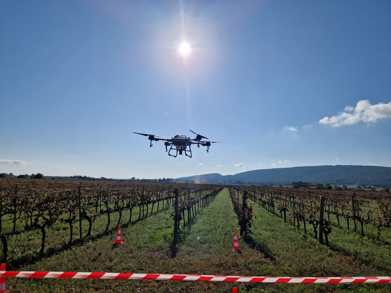 El dron pot escampar els tractaments fitosanitaris de forma eficient: una hectàrea en deu minuts/Cedida