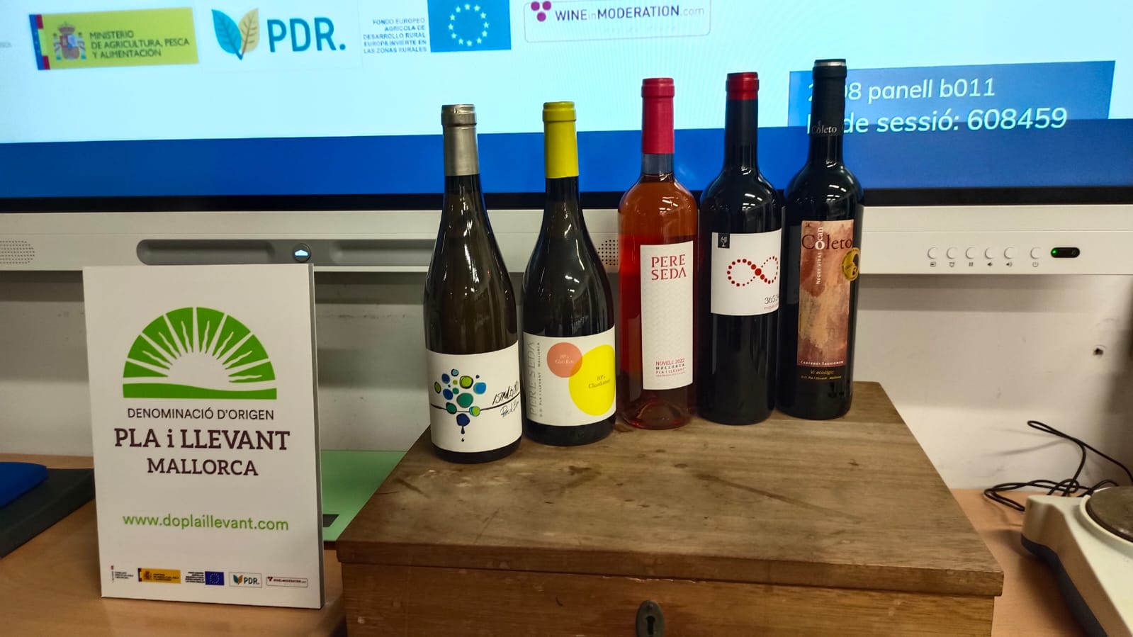 Cinc vins per una primera aproximació als vins de la DO Pla i Llevant, 'sense dramatismes innecessaris'/Biel Modino