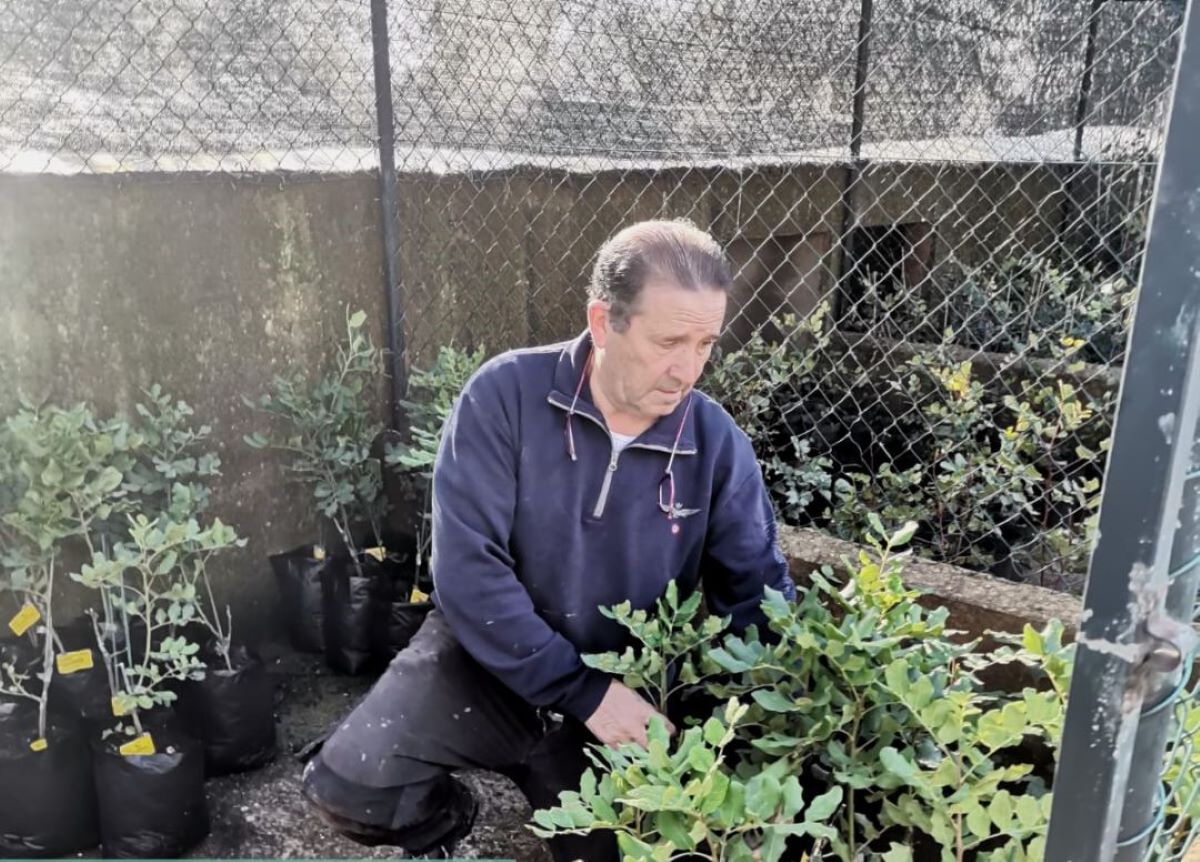 Cada un dels projectes té en compte el futur del sector agroalimentari en el context actual/Mallorca Rural