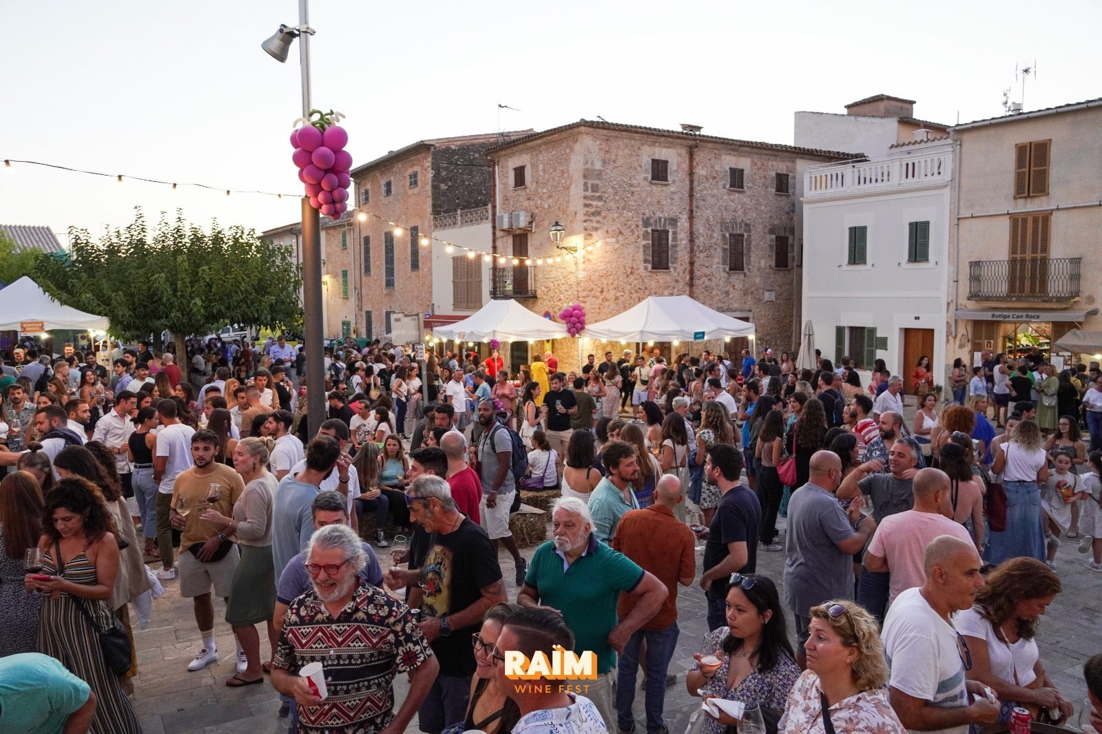La cinquena edició del festival itinerant de Vi de la Terra, arriba a Porreres l'u de juny/VTM