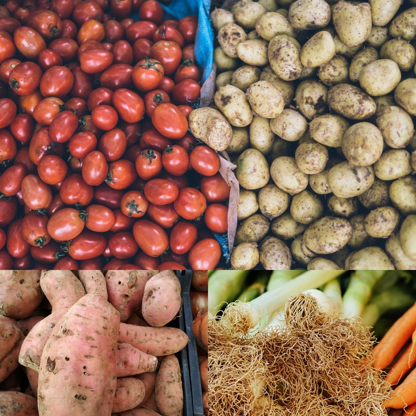 L'any passat el sector hortofructícola va ser el que més infraccions va cometre contra la llei de la Cadena Alimentària/Cedida