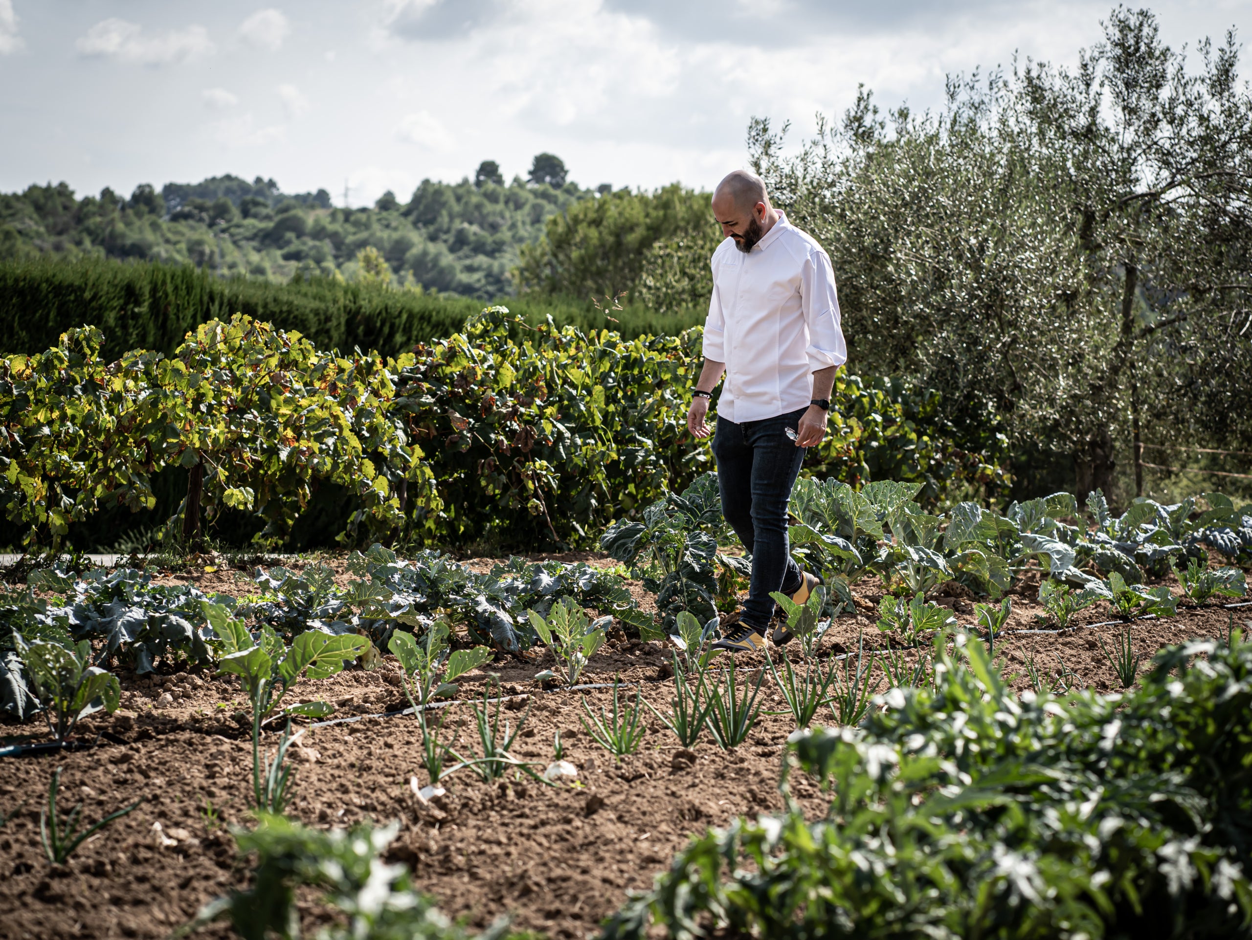 El xef Artur Martínez a l'hort d'on obté les hortalisses | Foto: AURT 