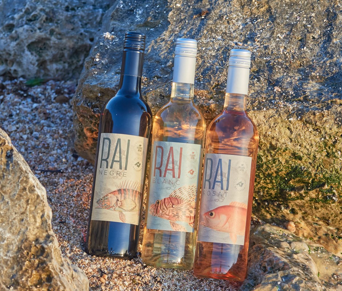 Els vins de la línia RAI, la darrera incorporació als vins de la Moyà Wine Division/@arrelscomunicacio
