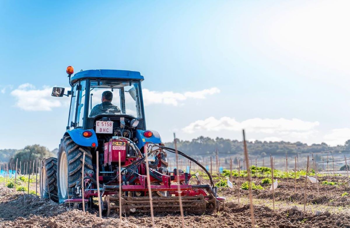 La supervivència del sector troba una possibilitat en aquesta fórmula cooperativa d'explotació de la terra en comú/Cedida