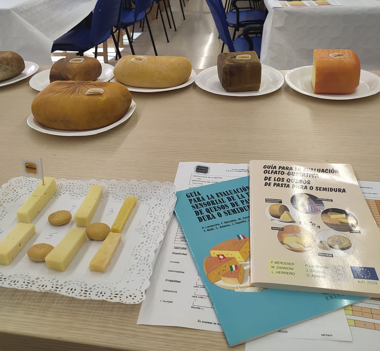 El formatge de Maó, producte convidat en aquesta segona jornada de tastadors professionals que s'ha fet a Mallorca/IGP Sobrassada de Mallorca