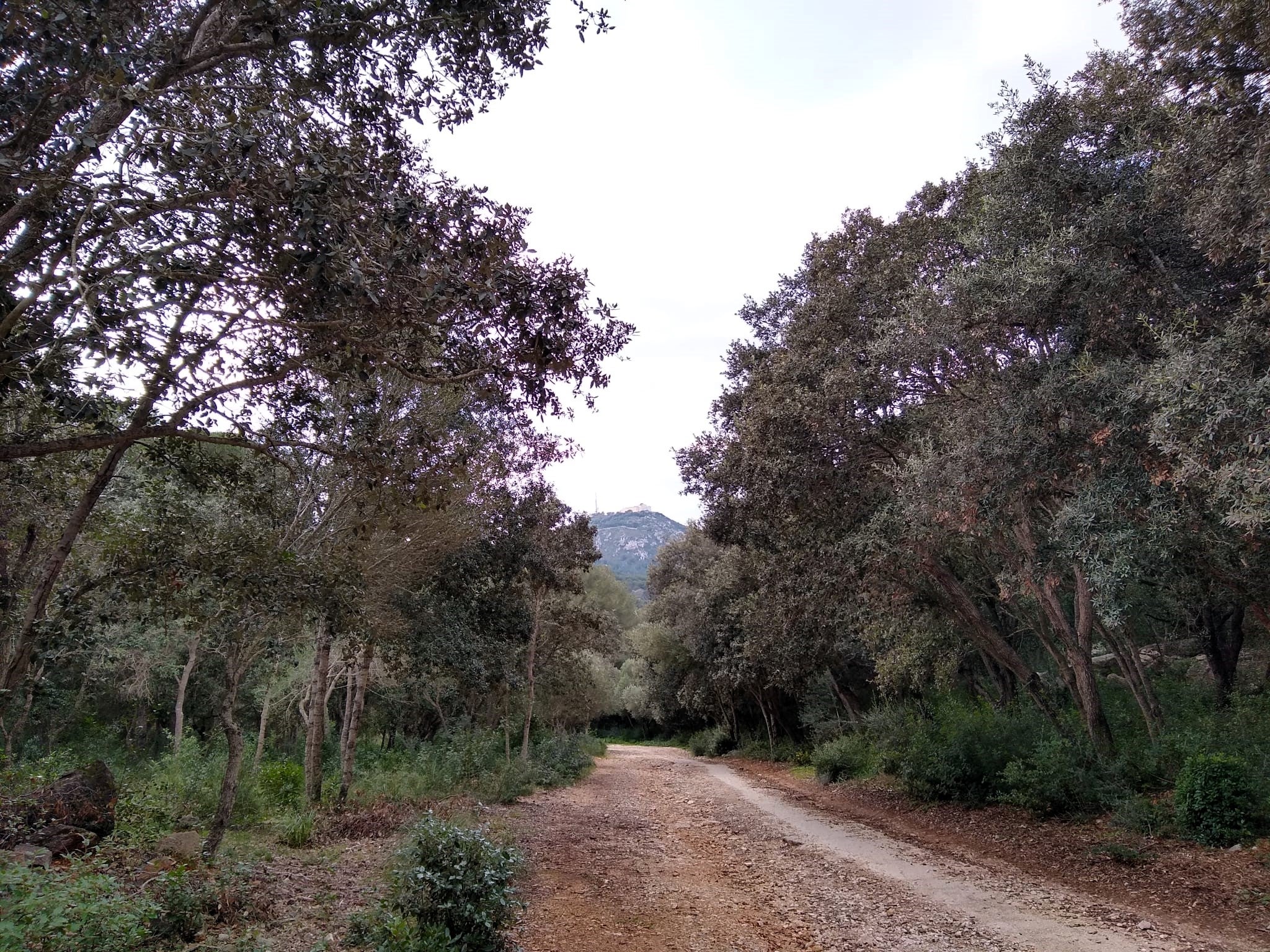 Camins a fora vila | Consell de Menorca 