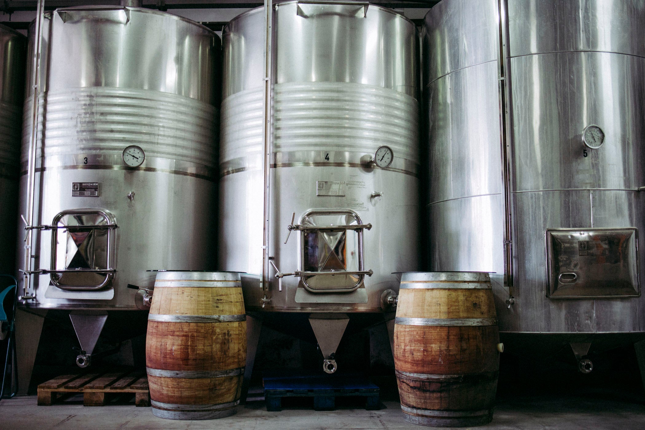 Dipòsits d'acer inoxidable i botes de fusta al celler | Jaume de Puntiró 
