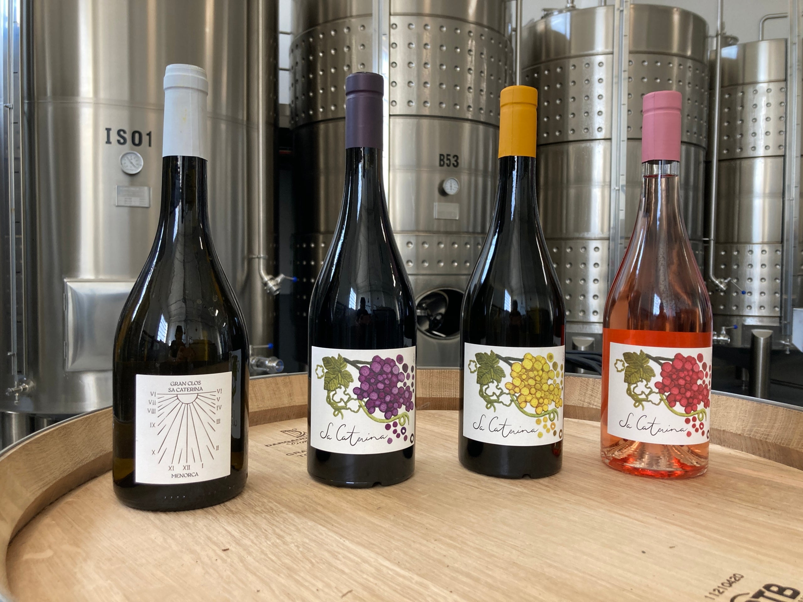 Els nous vins de Santa Catalina | David Baret 