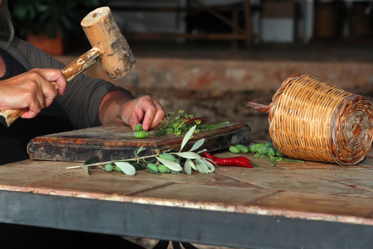 Trencar les olives una a una és la primera passa per l'elaboració de la recepta tradicional/Es Seregalls