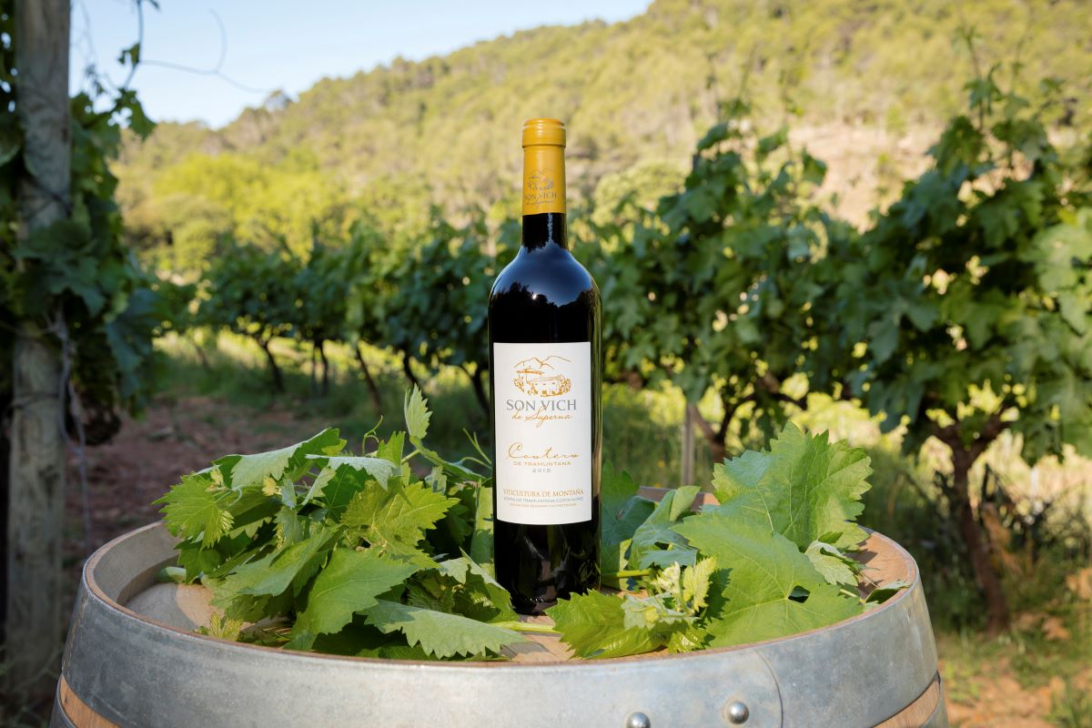 L'especial orografia de la finca on es conrea la vinya a gran altura, proporciona la seva singularitat a aquest vi/Son Vich de Superna