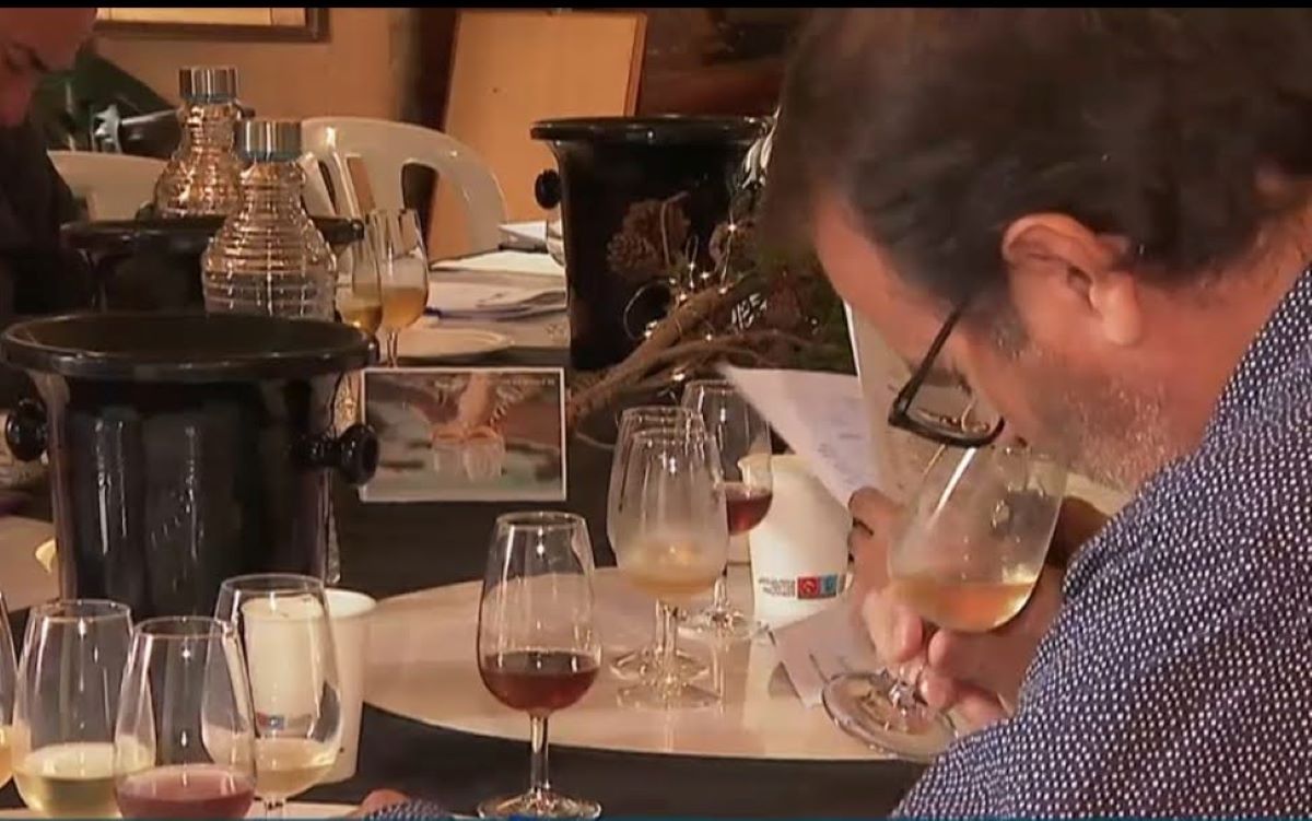 Els sommeliers sotmeten els vins a una prova sensorial per valorar les seves potencialitats/DO Binissalem