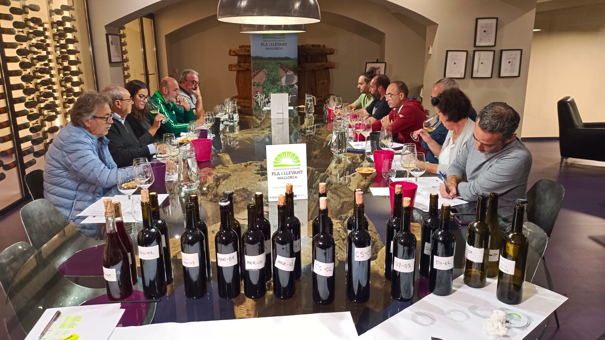 Cellerers i enòlegs de la DO Pla i Llevant han tastat els vins d'una anyada que qualifiquen d'excel·lent tot i que curta/Biel Modino