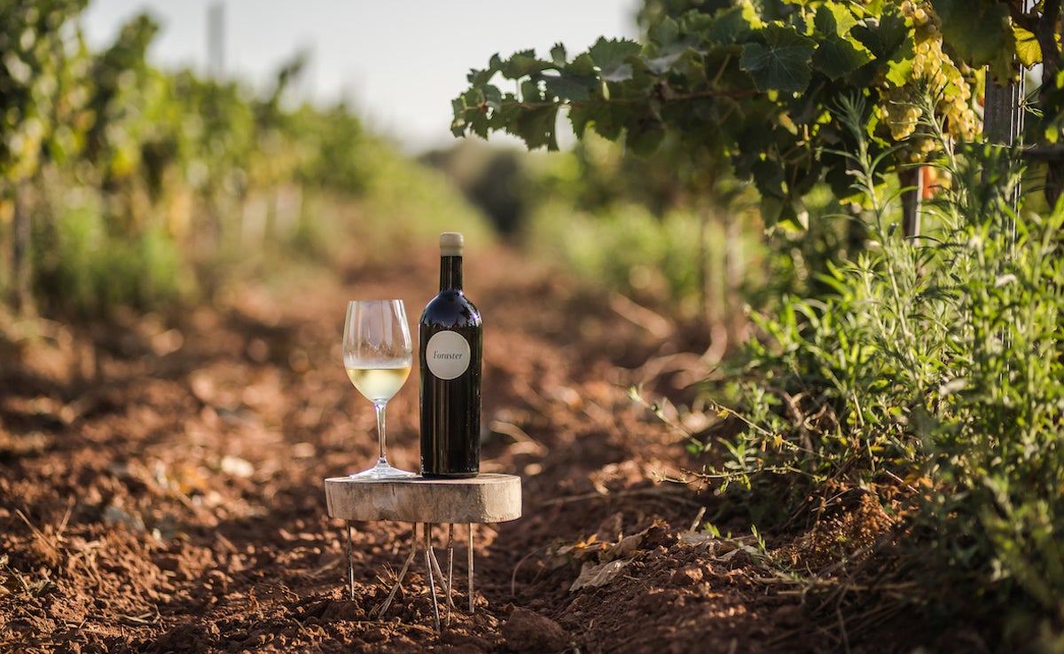 Imatge del Foraster, el vi menorquí del celler Binifadet / Cedida