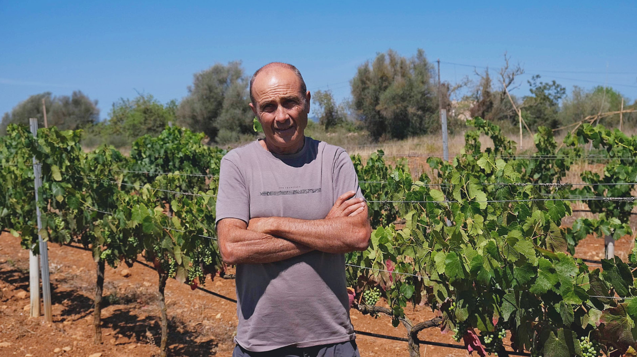 Joan Oliver davant les seves vinyes / APAEMA