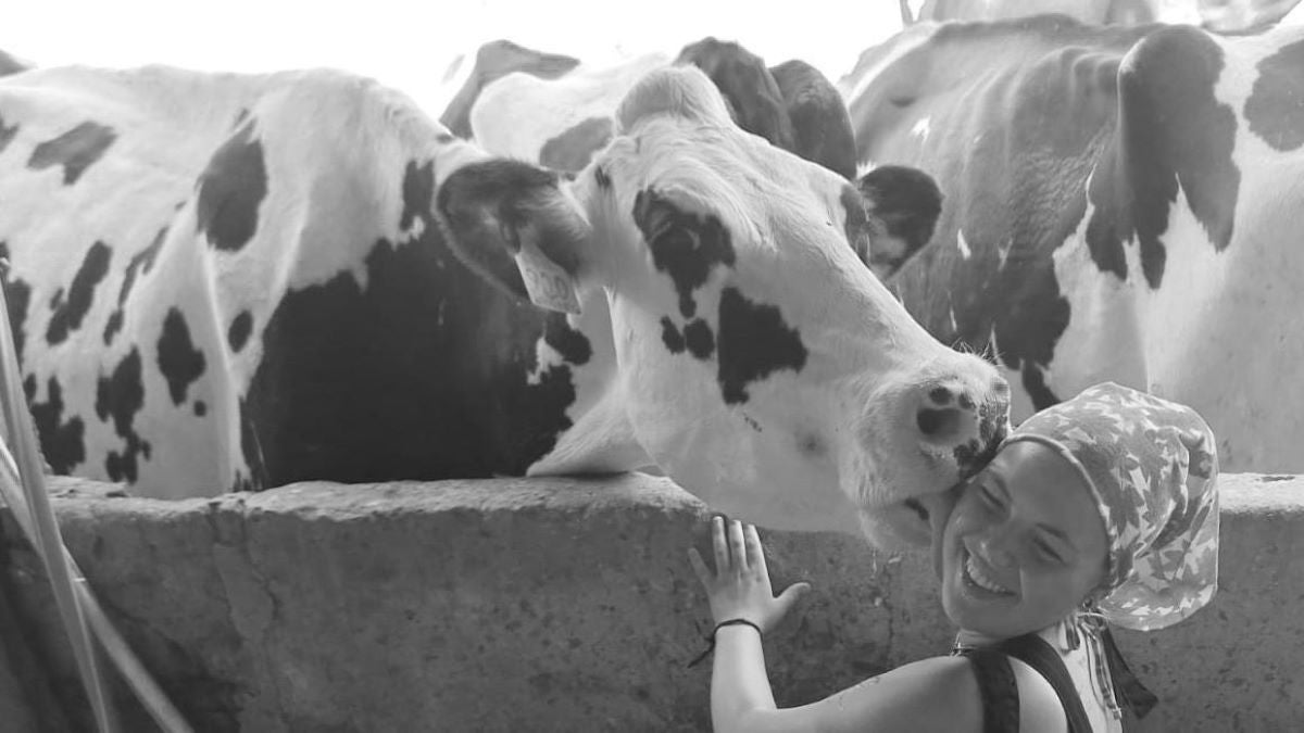 La família Bennàsser no ha pogut abandonar les vaques i ha transformat el negoci per poder mantenir la vaqueria/Sa Vinya