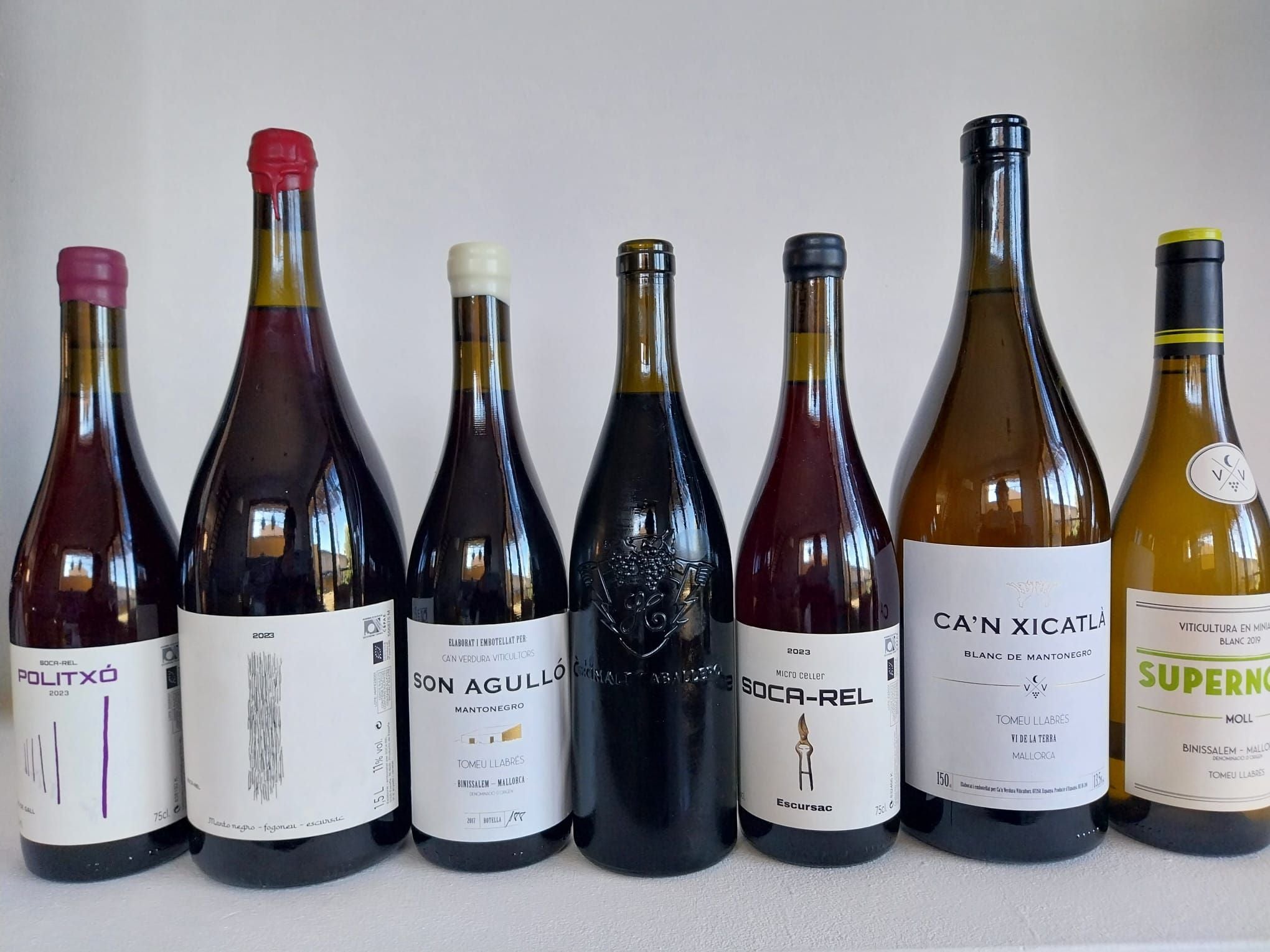 Vins mallorquins millor valorats per Parker, el Grimalt Caballero al centre de la imatge/Catalina Bibiloni