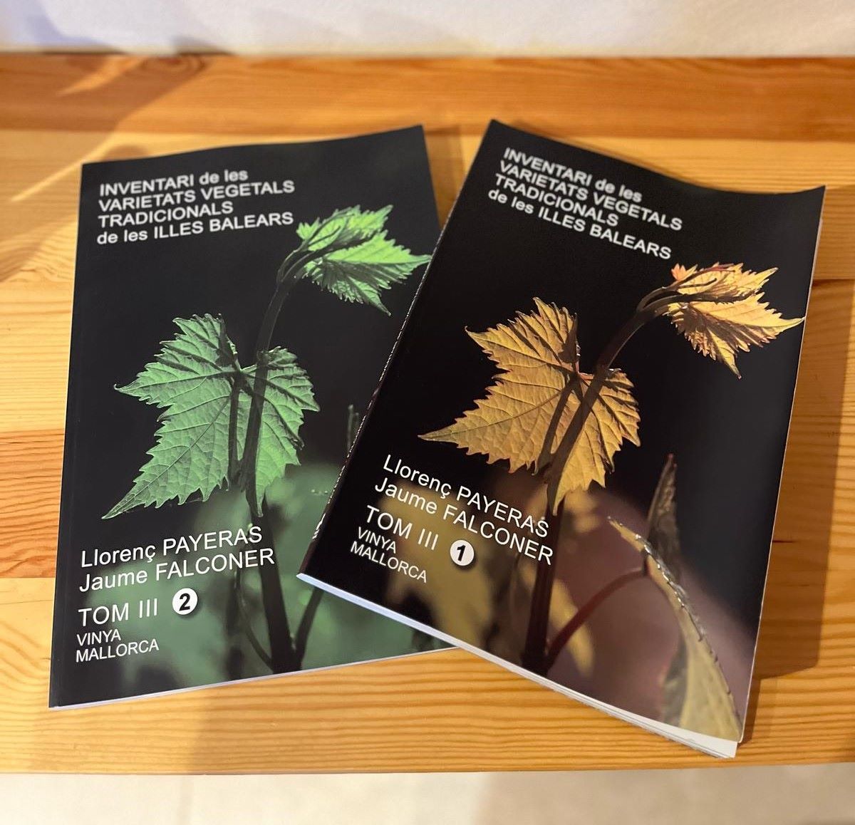 Una tasca acurada per part dels dos autors que esdevé imprescindible pels viticultors i pels curiosos del món del vi/A.O