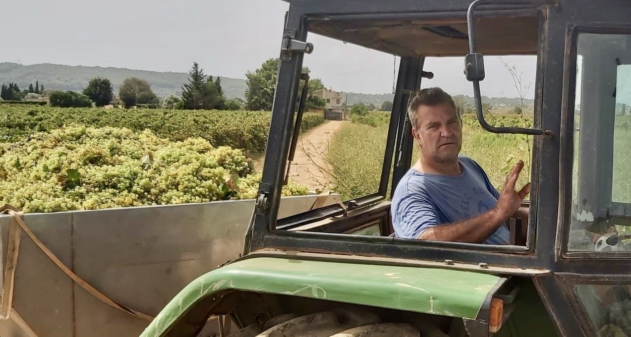Pere Calafat, del celler Jaume de Puntiró, comença a passar el tractor per les vinyes del Pla de Buc, de Santa Maria del Camí/ Margalida Calafat