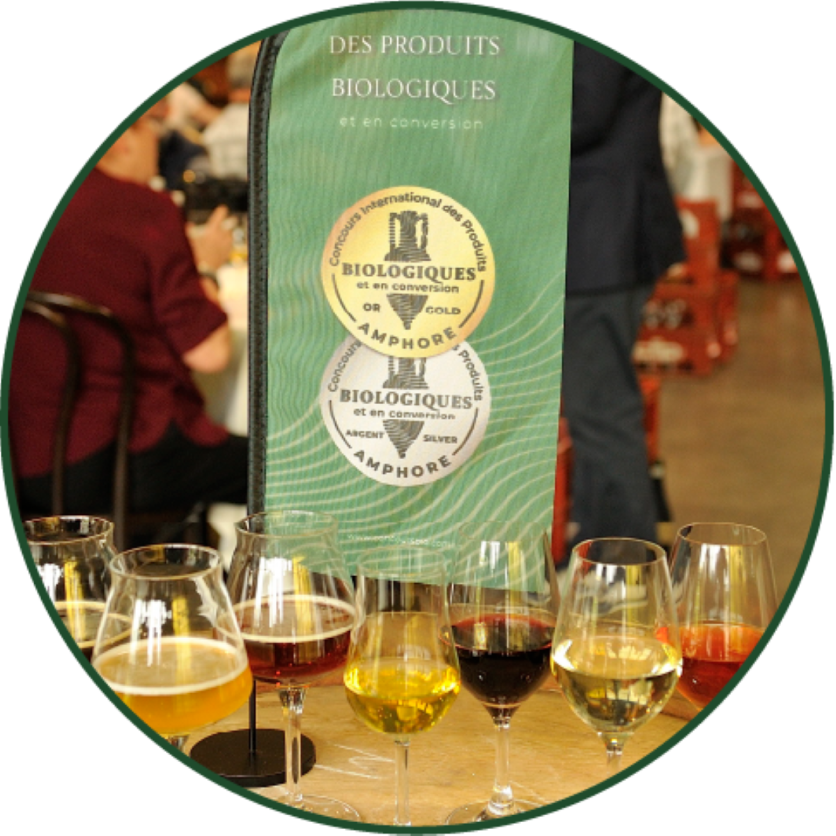 Jutges internacionals en matèria de vins orgànics han atorgat les màximes qualificacions als vins ecològics de Macià Batle/Cedida