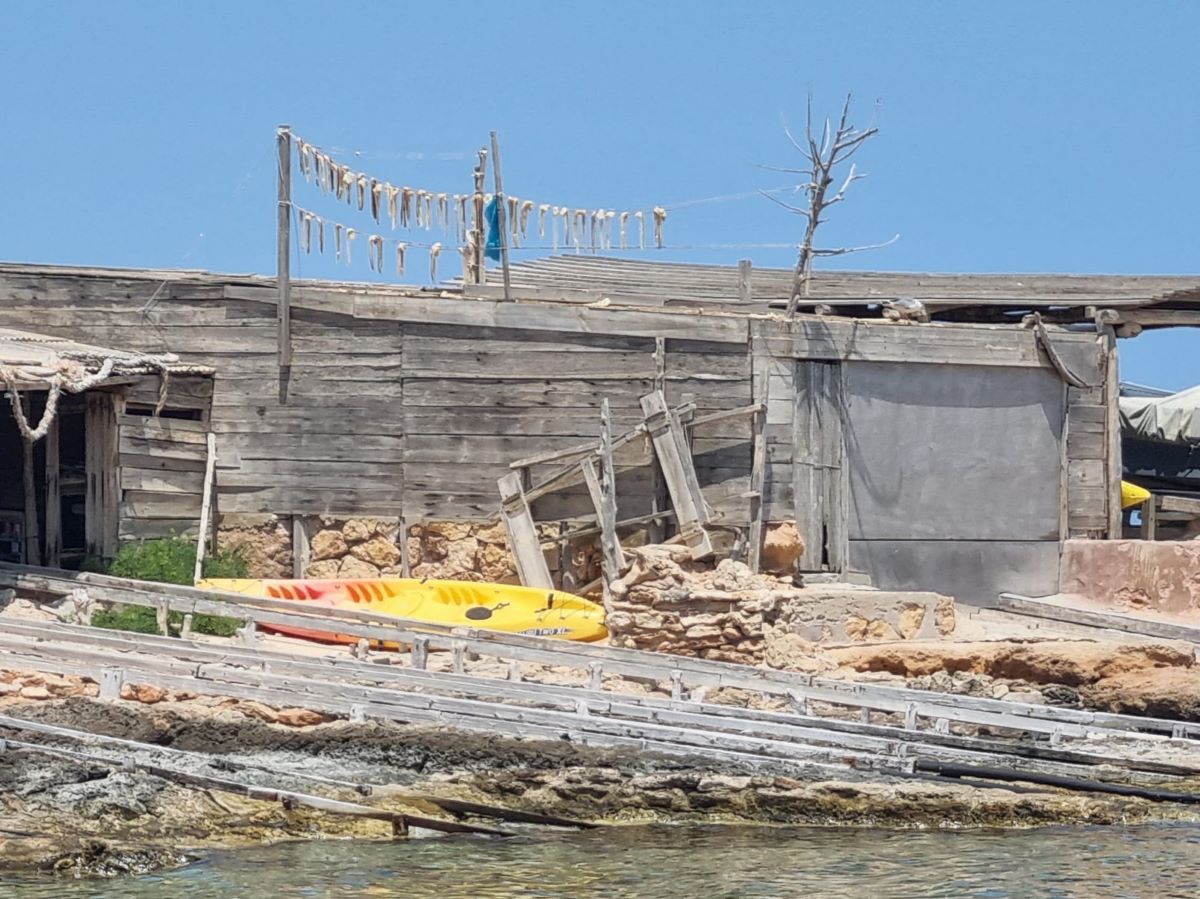 Imatge que testimonia com els formenterers encara mantenen el costum d'assecar el peix al sol i al vent amb la saladina de la mar/T.P 