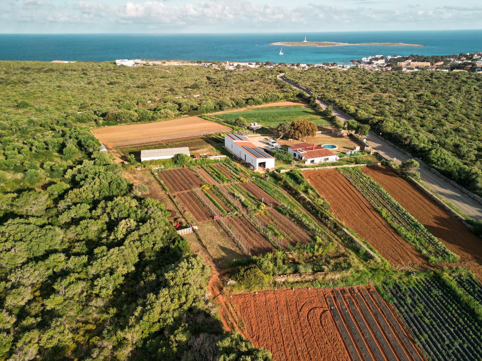 La finca menorquina Santo Domingo SC de Sant Lluís / Cedida