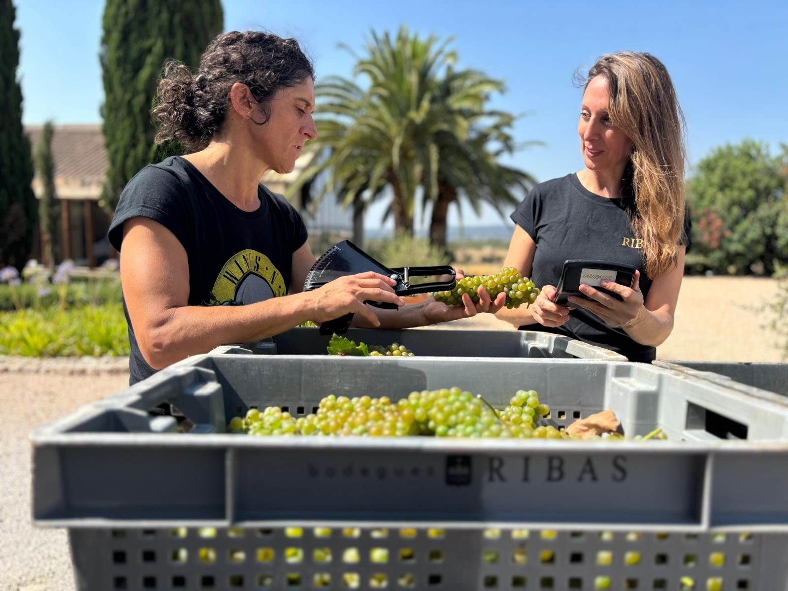 Belén Padilla i Araceli Servera, responsables del projecte Ribas LAB/Cedida