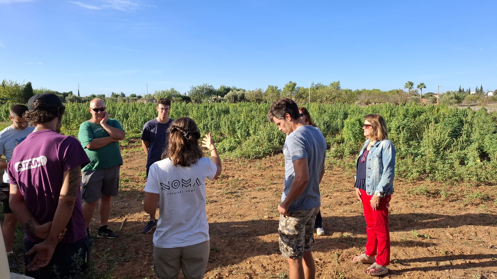 Jornada de portes obertes per donar a conèixer els beneficis ambientals, agraris i econòmics del cultiu del cànem/Cooperatives Agro-alimentàries de Balears