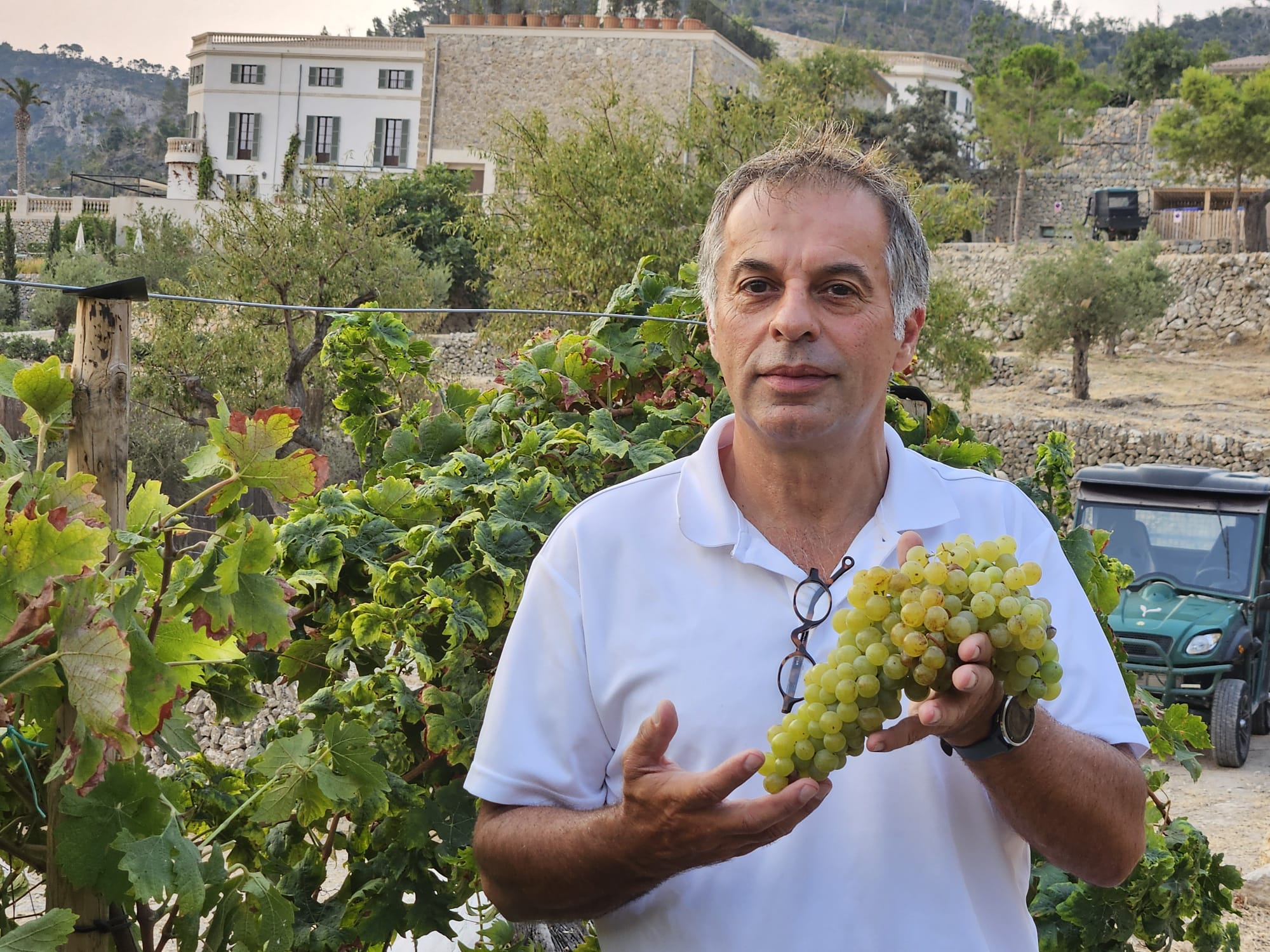 El director gerent de Son Bunyola Hotel & Villas, Vincent Padioleau, amb un dels gotims de malvasia el dia de la verema//Cedida