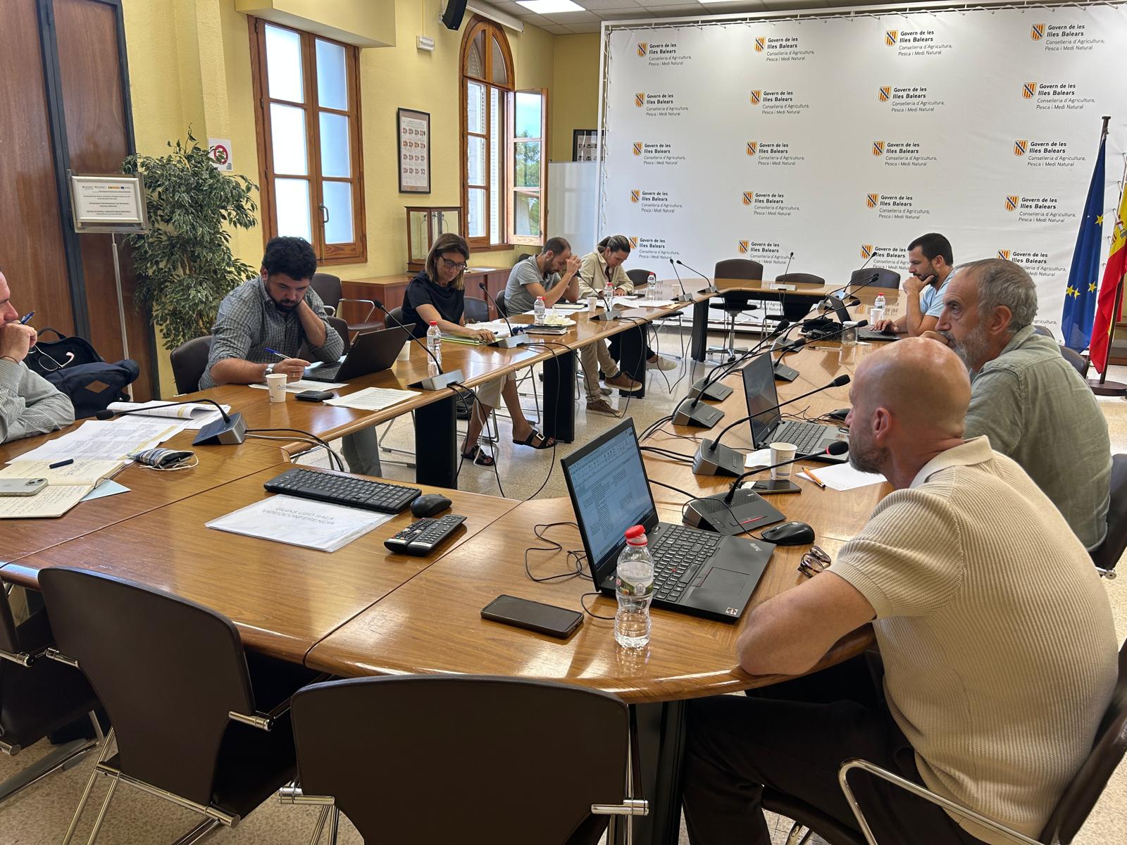 Entre les conclusions, la garrova incrementa superfície i afronta el repte de la transparència en la cadena de valor. El sector de l’ametla, cerca reforçar-se davant la Xylella amb recerca i amb la IGP Ametla de Mallorca com a referent/CAIB