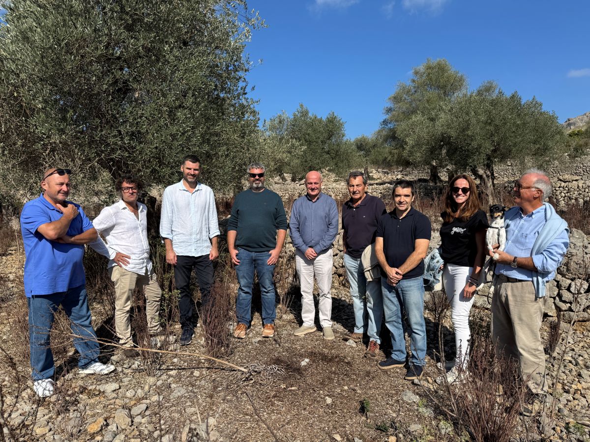 Tomeu Arbona i Pere Suau (Cooperativa de Sóller), Pere Soberats (Son Mesquidassa), Andreu Oliver (president del consell regulador de la DOP Oliva de Mallorca) Antoni Solivellas (director insular de la Serra de Tramuntana), Pep Oliver (president honorífic DOP Oliva de Mallorca), Joan Llabrés (director general de Qualitat Alimentaria i Producte Local), Margalida Bauçà (gerent DOP Oliva de Mallorca) i Rafael Pons (productor i propietari de Son Alzines)/DOP Oliva de Mallorca