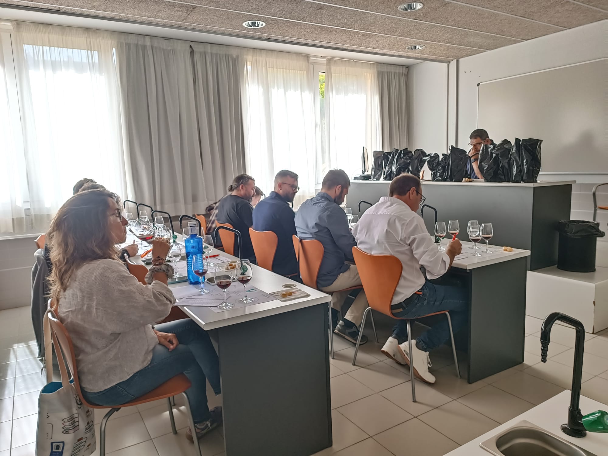 Una vintena de mostres de vermuts i palo han estat valorades en un tast a cegues per un jurat del qual han fet part 7 tastadors professionals/BV