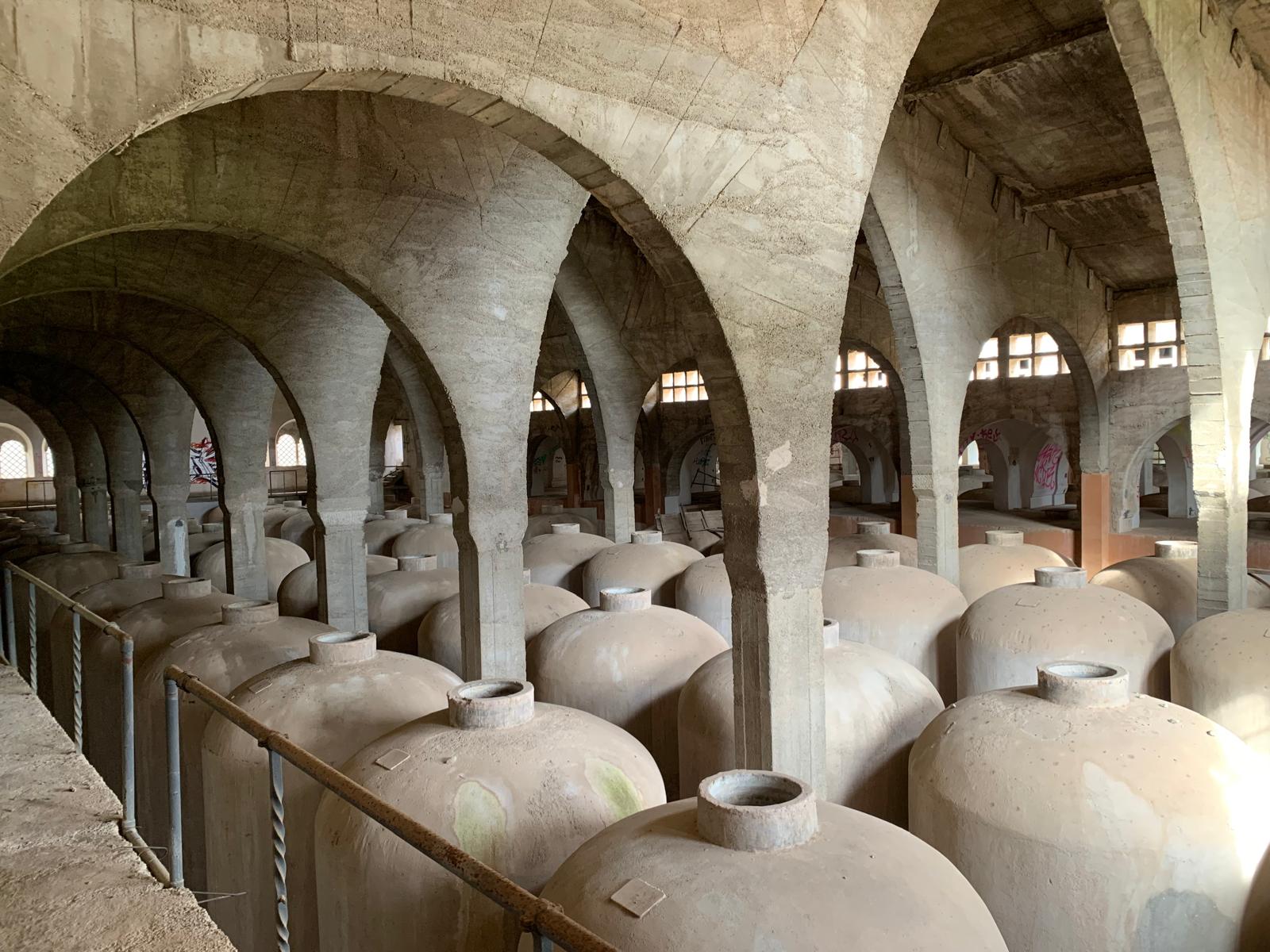 Les naus de fermentació, en les quals hi ha les grans tines de formigó, seran uns espais expositius de la memòria del passat com a celler/CAIB