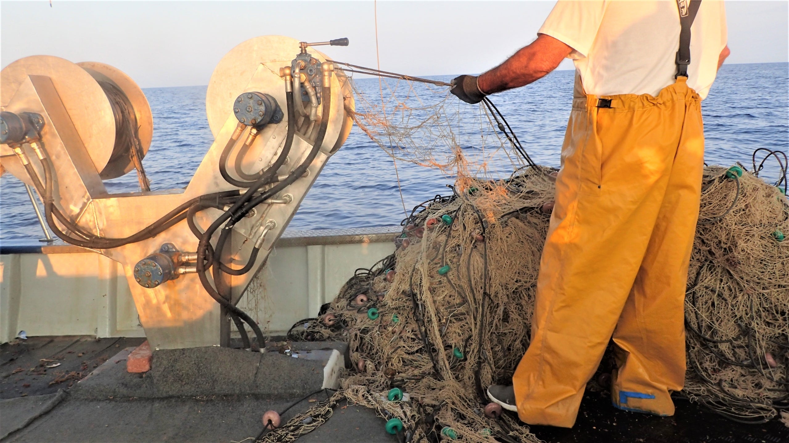 Pescador recuperant xarxes de tresmall de llagosta enfront d'Andratx Autor: Maria del Mar Gil Oviedo. IMEDEA