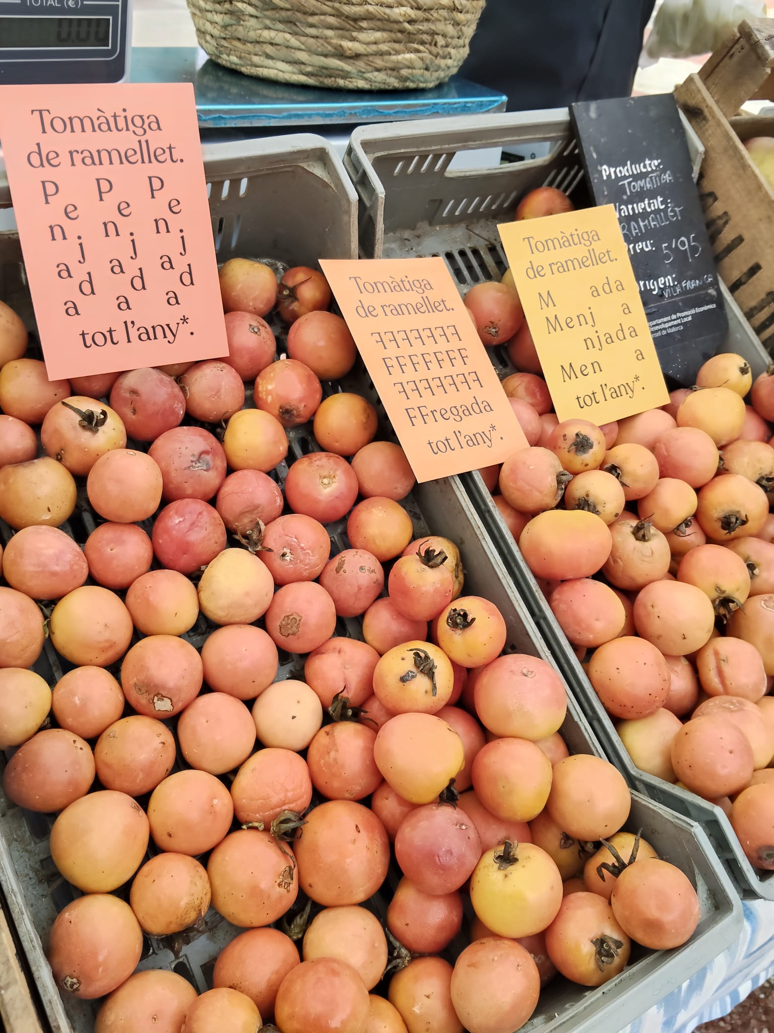 L'autèntica tomàtiga de ramellet no prové dels hivernacles on es conrea durant l'hivern/A.V.L