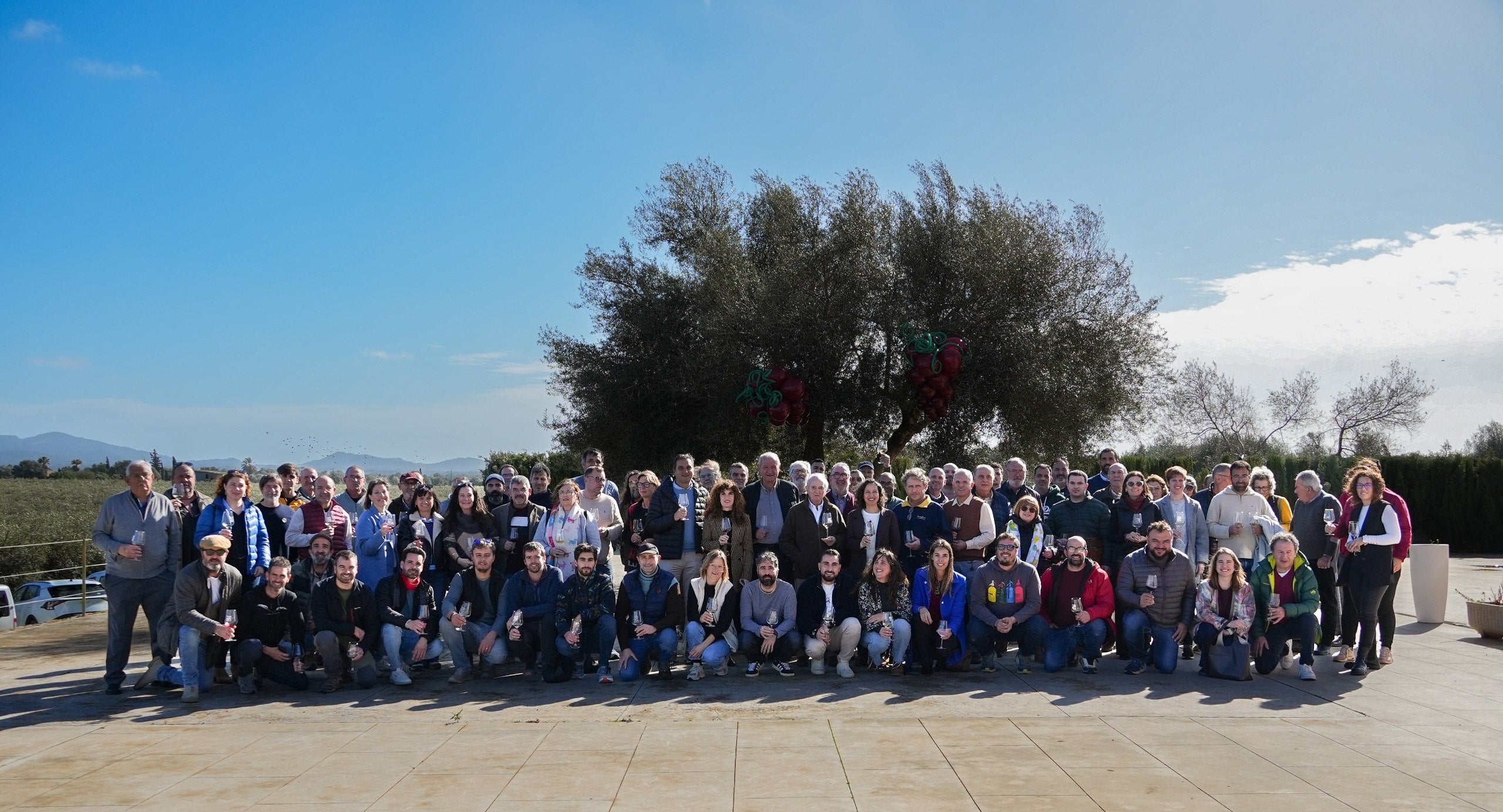 L’Assemblea General celebrada aquest divendres amb motiu del Dia del Viticultor ha reunit més d’un centenar de representants de l'organització/VTM