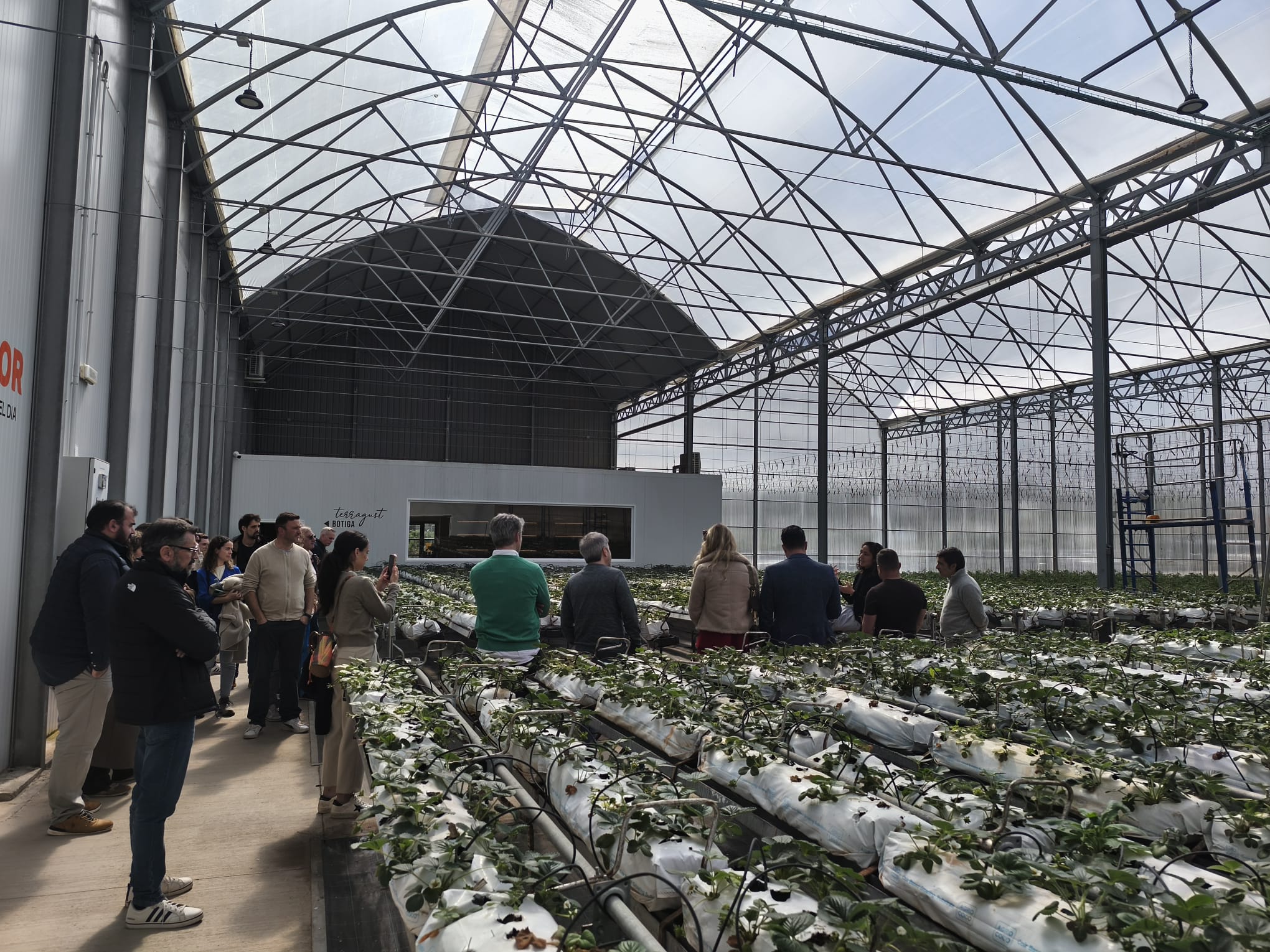 Els hivernacles de Terracor han estat una de les visites fetes amb els restauradors/CAIB