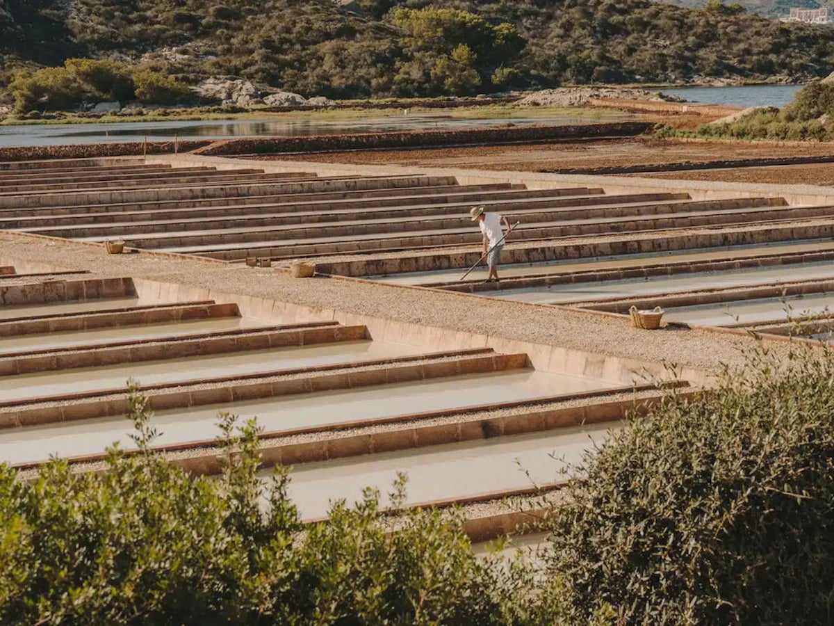 Imatge del projecte de les Salines de la Concepció de Menorca / Cedida
