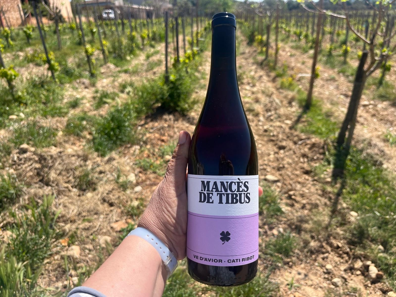 Mancès de Tibús arriba per afegir-se a la família dels vins d'Avior/Cedida